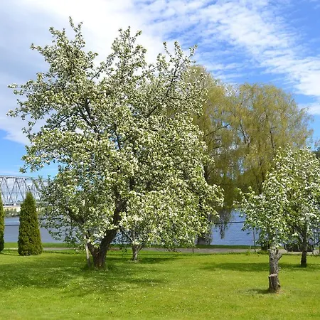 Lossiranta